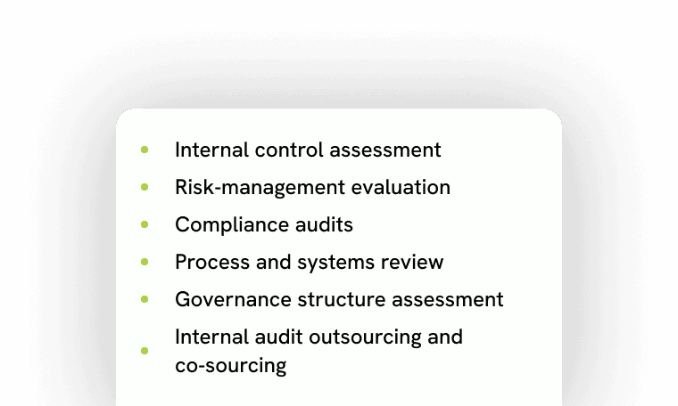 Internal Audit & Control Evaluation