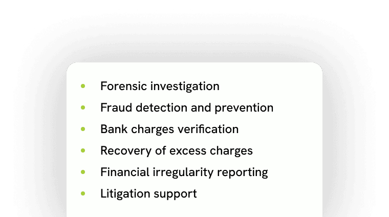 Forensic Accounting & Bank Charges Review